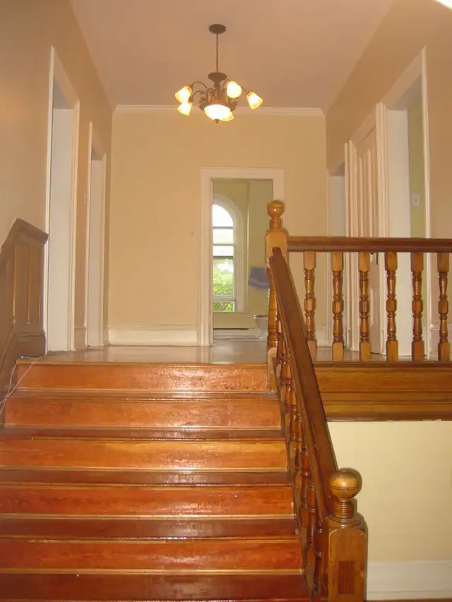 RM wanted In 3 Bedroom Victorian Downtown Apartment in Room Rentals & Roommates in St. John's - Image 3