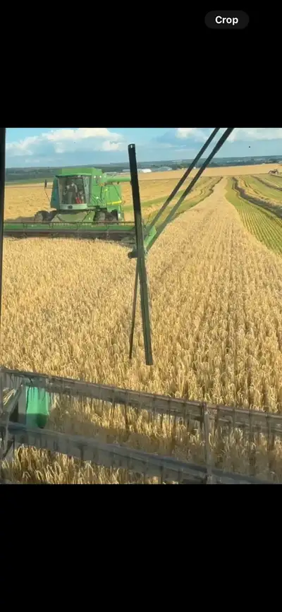 We have two combines available to harvest your crop. Wheat, oats, barley and soybeans. Experienced o...