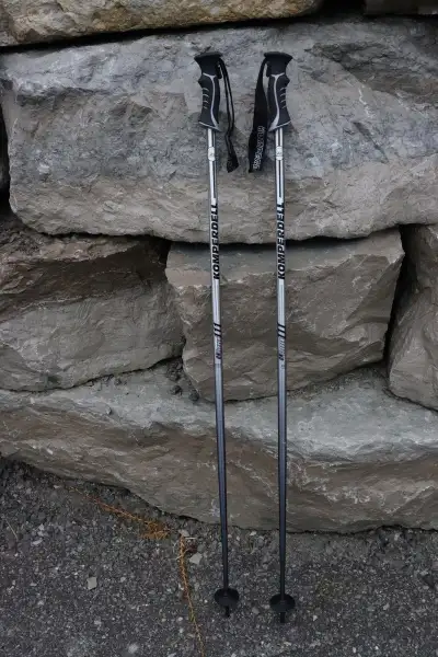 Fischer World Cup GS skis 183 cm + RC4 Z13 bindings + poles, View more