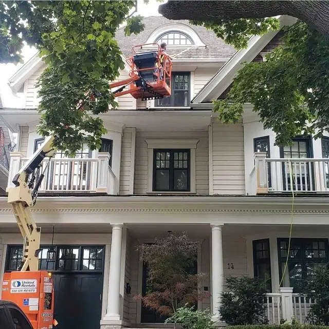 Professional Painters. Competitive Pricing Guarantee, Insured63005663043331123