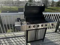 Large Natural Gas Barbecue 