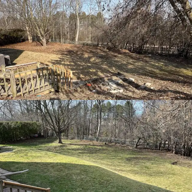 Fall Clean ups64519979472129123