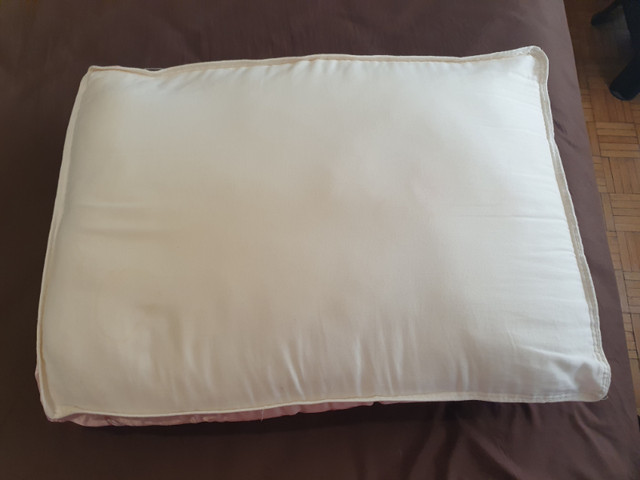 Sealy Cotton Extra Firm Pillow in Bedding in City of Toronto