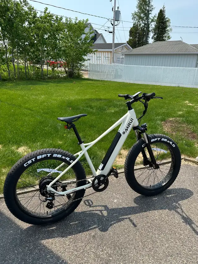 Electric bike Maui Ares62864361714305124