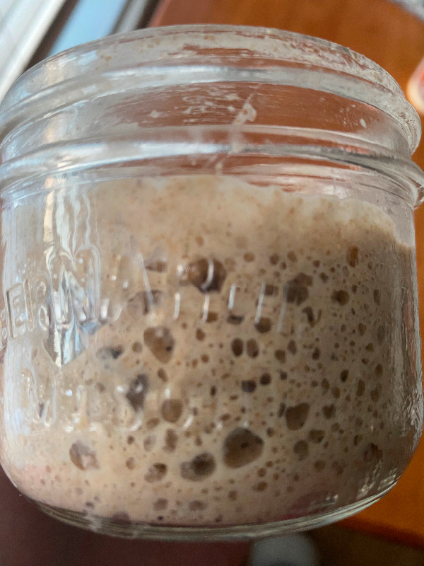 Sourdough starter, levain dans Santé et besoins spéciaux  à Longueuil/Rive Sud - Image 4