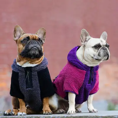 Low Price New Dog Coats, Dog Boots, Harness, Pawz Boots, Leashes, View more