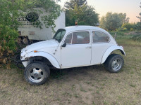 73 VW baja beetle