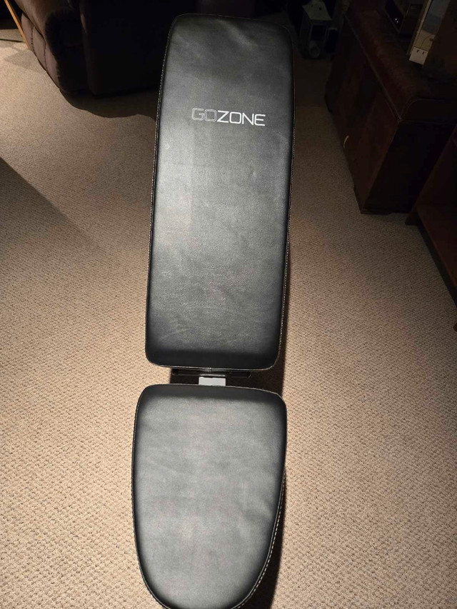 Gozone workout bench in Exercise Equipment in Ottawa - Image 3
