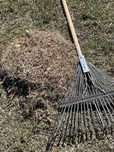 yard clean , View more