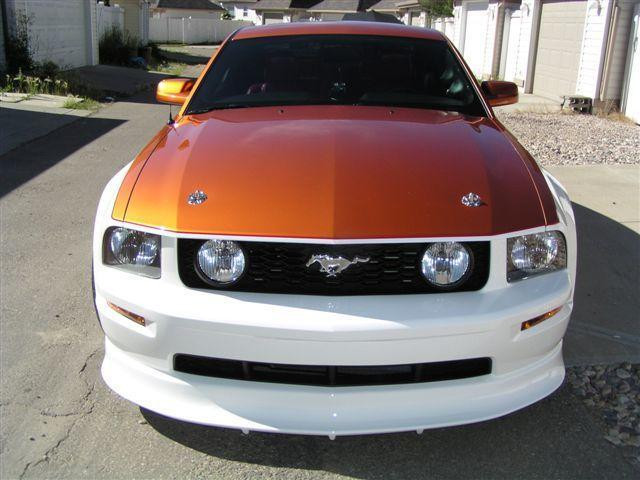 2005 Ford Mustang GT Custom Coupe in Cars & Trucks in Edmonton - Image 2