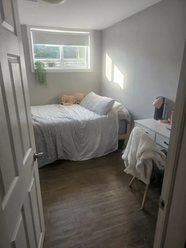 1 Room in 3 bedroom Basement Apt in Room Rentals & Roommates in Ottawa - Image 5