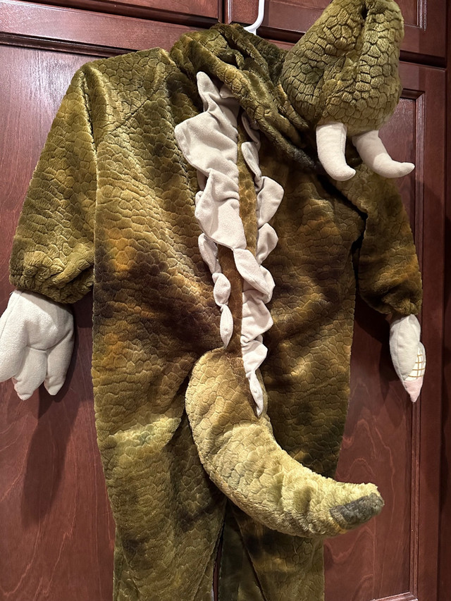 Costume dinosaure 3-4 ans  dans Vêtements - 3T  à Saint-Jean-sur-Richelieu - Image 4