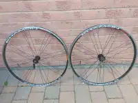 Excellent Campagnolo Wheels