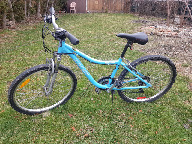 26 inch MOUNTAIN BICYCLE blue in Mountain in Mississauga / Peel Region