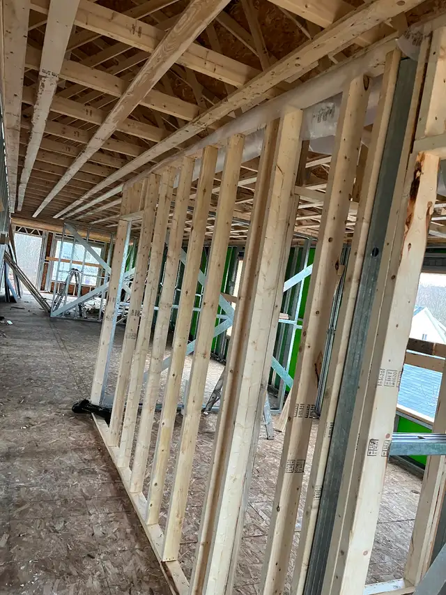 Framing Carpenter service418857269037649921