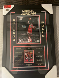 Michael  Jordan Framed 18x26 Colour Photo and Upper Deck Card 
