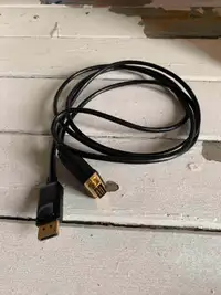 DisplayPort - DVI cable 6' Rankie