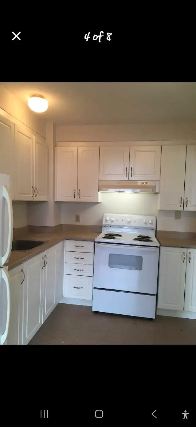 large 1 bedroom apartment for rent $158563826904584193122