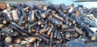 Surplus Firewood