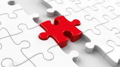 Project Manager - Problem Solver, View more