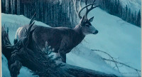 Robert Bateman Decorative Art Print of Deer