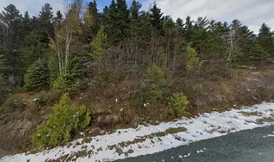 Espace de terrain à vocation forestière non aménagé et non exploité en flan de montagne avec un supe...