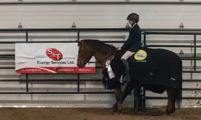 champion large pony mare , View more