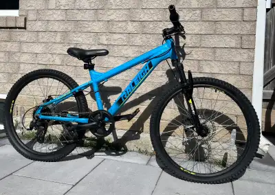 Raleigh Rockwood Youth Hardtail Mountain Bike in BLUE, View more