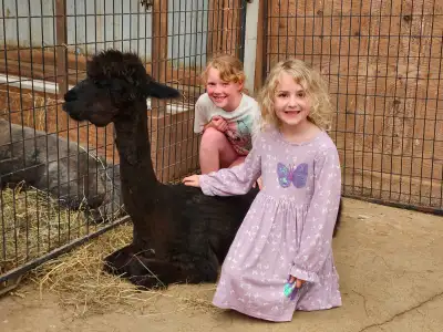 CREATE MEMORIES THAT MATTER - BOOK AN ALPACA TOUR, View more