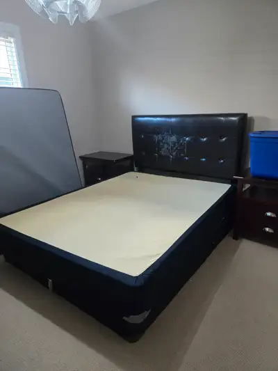 One Queen box spring & head Board, View more