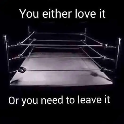 Pro Wrestling Lessons495416392801341440