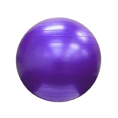 Exercise/Yoga Ball from FitterFirst  REDUCED $20, View more