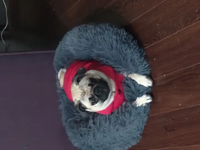 A little help please