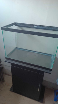 20 gallon fish tank and stand