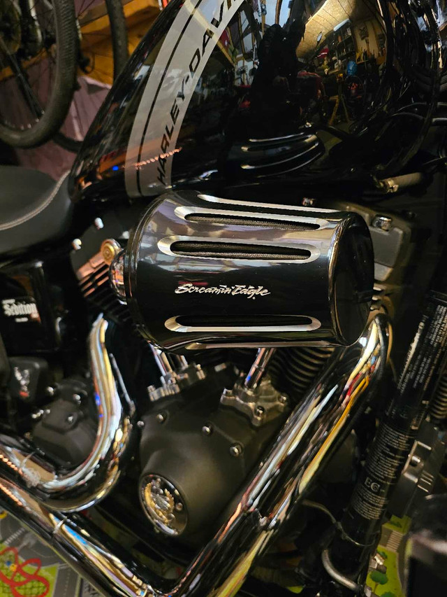 2015 Harley Davidson fat bob in Street, Cruisers & Choppers in Cole Harbour - Image 3