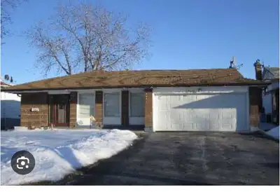 Basement for rent