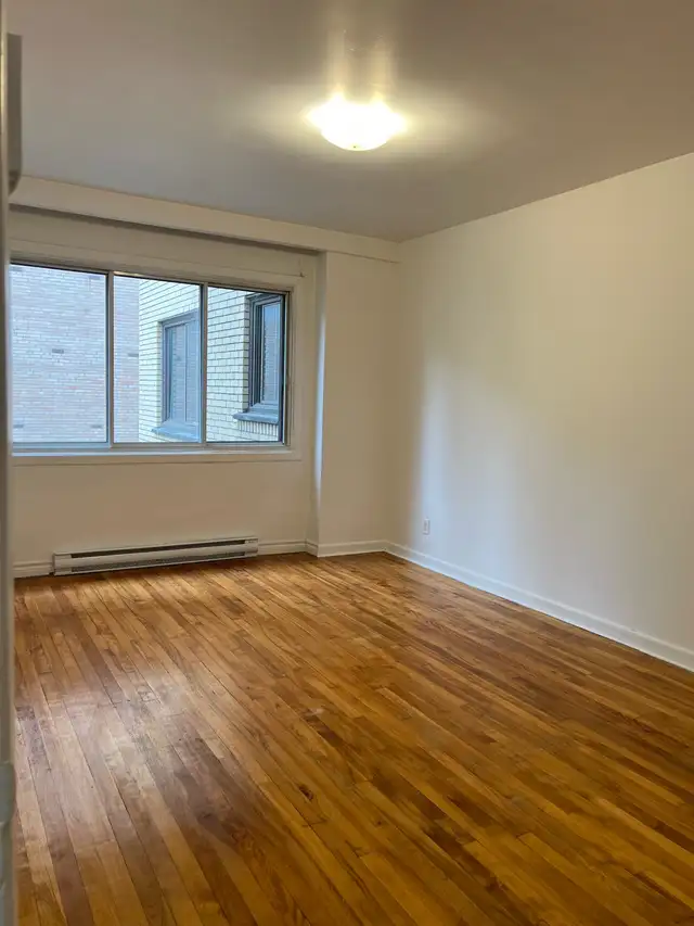 1 Bedroom | 1 Bathroom64418620186625120