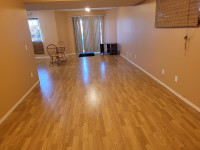 One bedroom walkout basement for rent Spruce grove