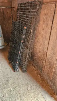 Cage à chien
