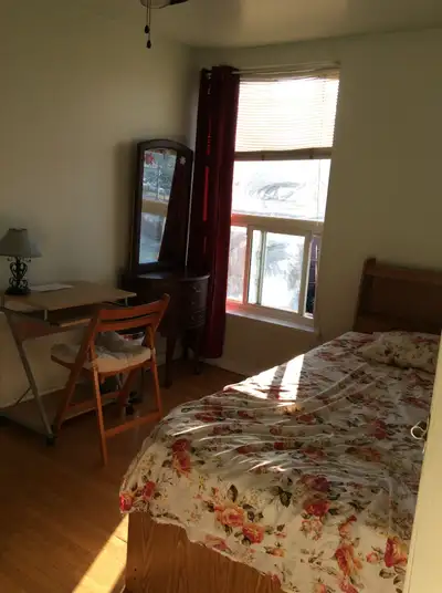 room for rent in Etobicoke -ladylady