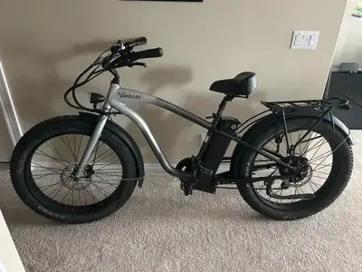 Vamoose Cruiser X SO E-bike, View more