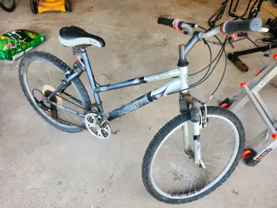 Ladies Mountain Bike. Bought from Costco years ago. 26" wheels. Works, but could use a tune up and s...