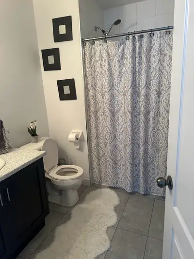 We have a newly renovated basement apartment, with side entrance!! AS WELL AS A UPSTAIRS BEDROOM, TW...