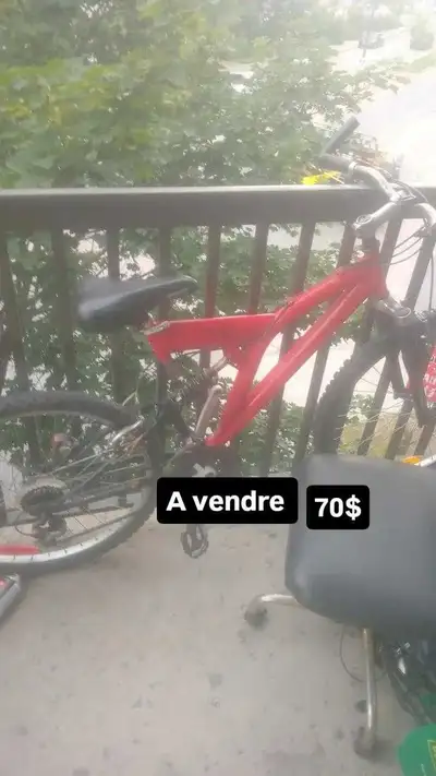 velo  vtt, View more