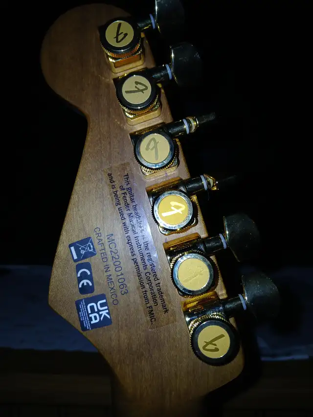 Charvel Pro Mod DK24 Poplar Burl in Guitars in Dartmouth - Image 7