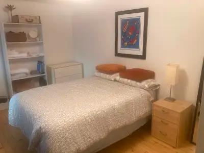 Room for Rent in Centretown Century Home