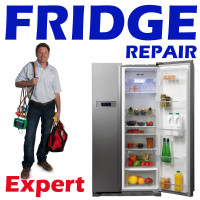 Fridge and Freezer Repair