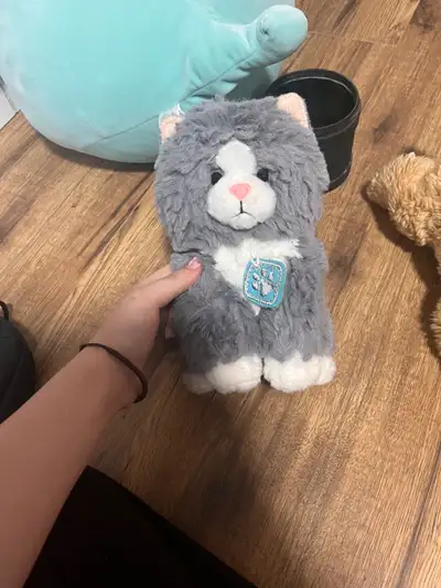 cat and dog stuffies, View more