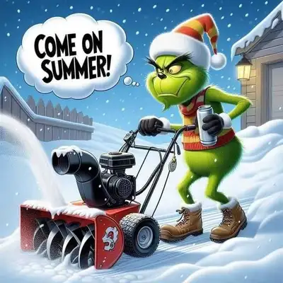 $$Cheap$$ Snow blowing/ Grass cutting/yard services, View more