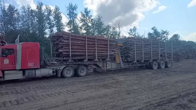 Truckload Firewood Delivery Across Saskatchewan  in Plants, Fertilizer & Soil in Regina - Image 5
